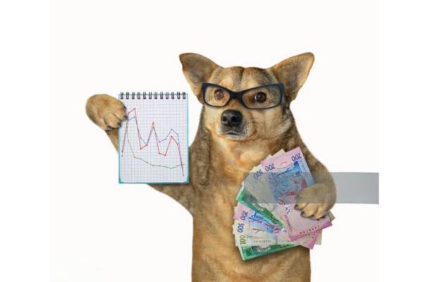 20 Ways To Save On Your Dogs Expenses