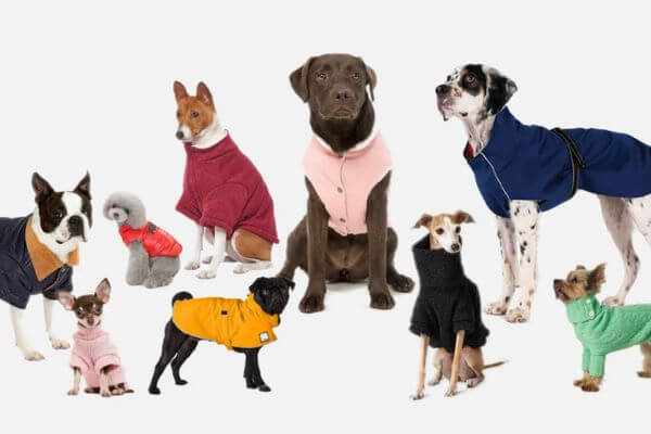 Dog Snow Suit
