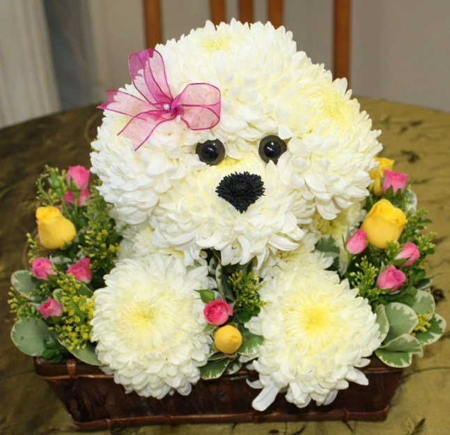 Dog Flower Arrangements