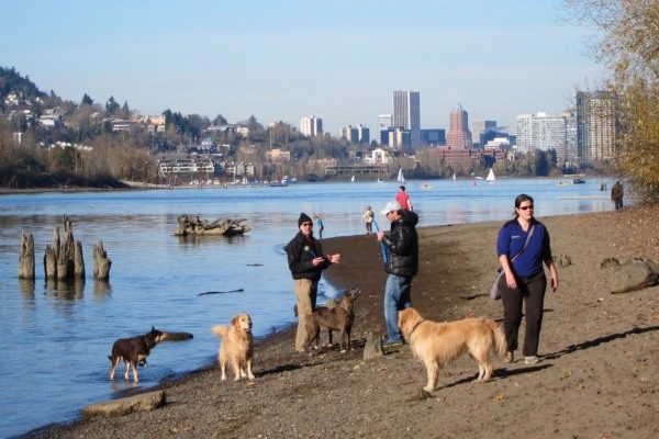 Dog Parks Portland 