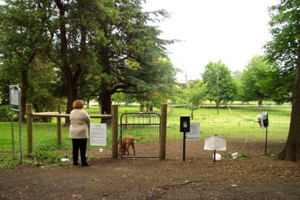 Dog Parks Portland 