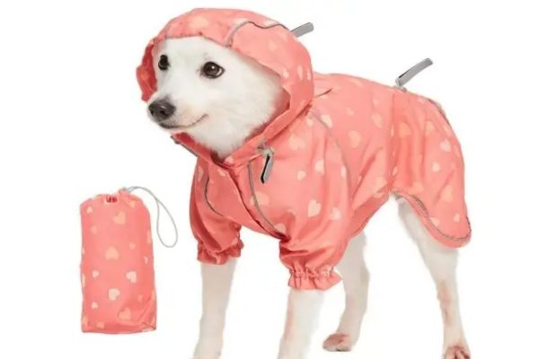 Doggie Raincoat 