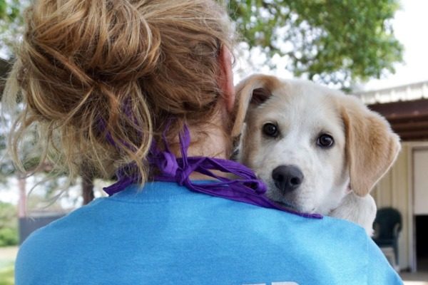 Driftless Humane Society