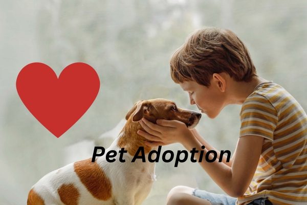 Driftless Humane Society