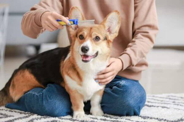Dog Diaper Bag