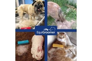 EquiGroomer for Dogs 