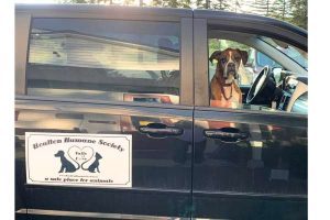 Houlton Humane Society
