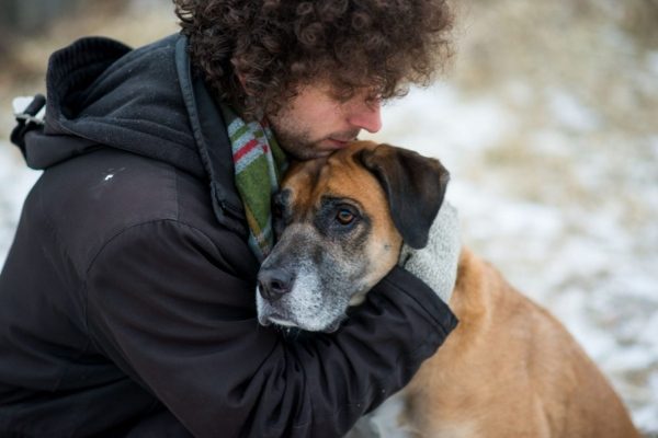 How Your Dog Understands You