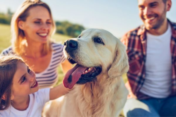 Los Angeles Dog Adoption