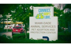 Miami-Dade Animal Services Pet Adoption and Protection Center