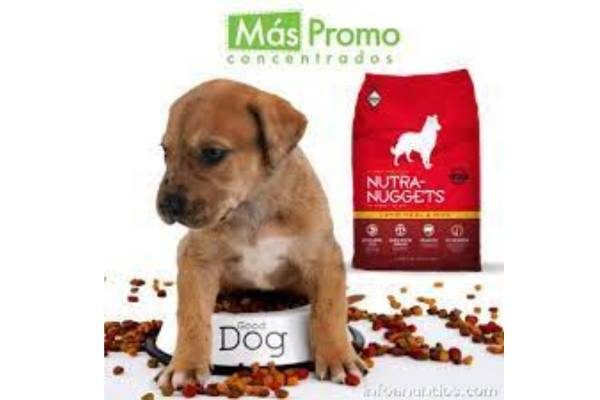 Nutra Nuggets - Nourriture pour chien - Agneau Riz