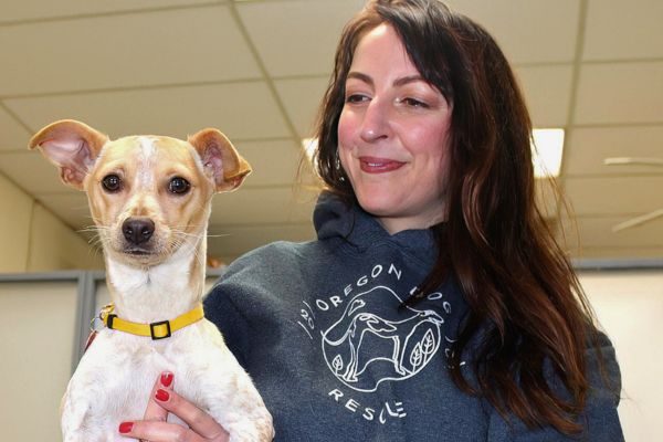 Oregon Pet Classifieds