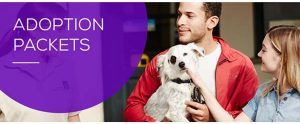 Petfinder NC