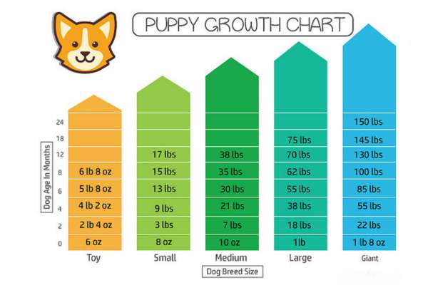 Puppy Growth Chart Calculator