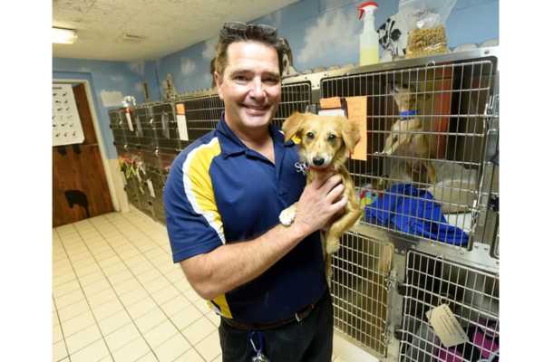 SPCA The leading organization for animal welfare