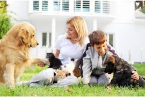 Teaching Kids to Be Responsible Pet Ownership