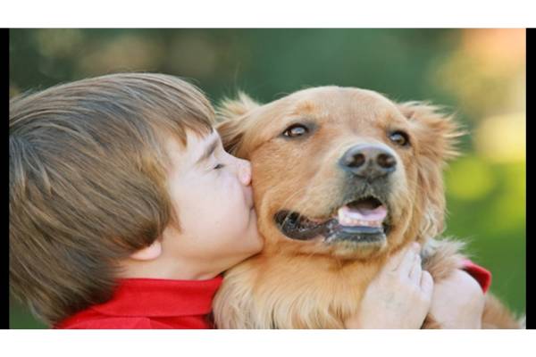 Teaching Kids to Be Responsible Pet Ownership