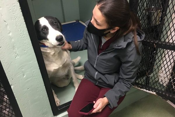 Yakima Humane Society