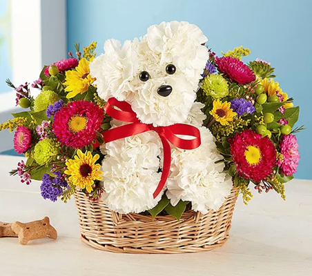 Dog Flower Arrangements