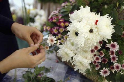 Dog Flower Arrangements