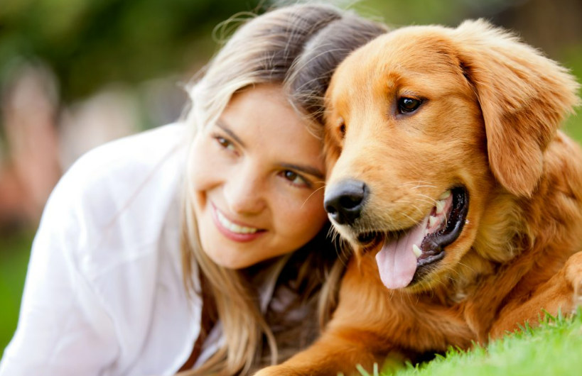 Bonded Dogs: Adopt a Pair of Best Friends