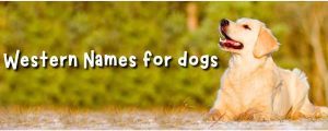 western inspired dog names