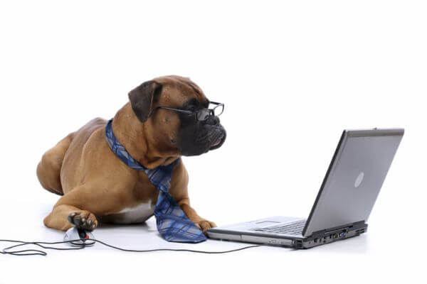 Adopt Me Pets - Bone Voyage Dog Rescue