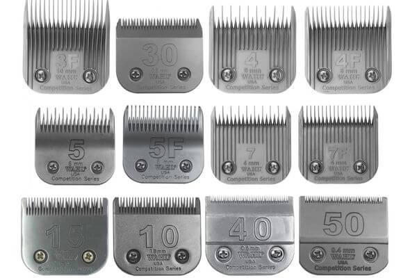 Dog Clipper