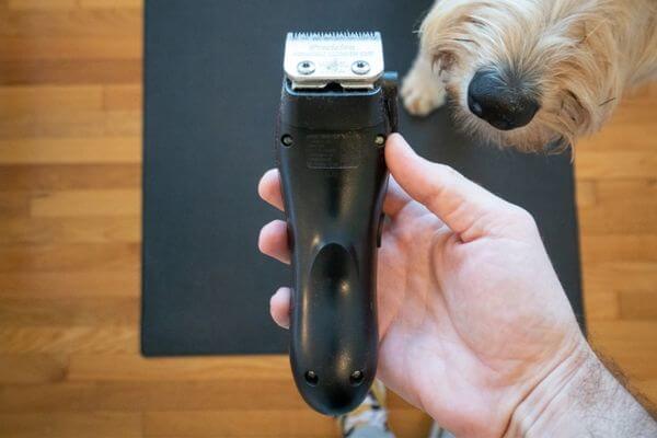 Dog Clipper
