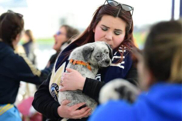 Lenoir County SPCA