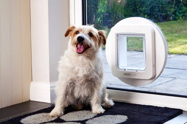 Petsafe