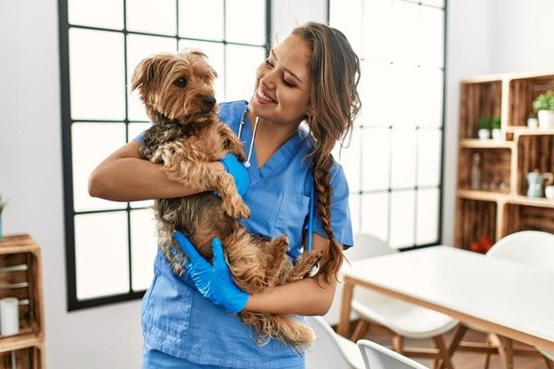 Choosing the Best Vet and Food for Your Rescue Dog