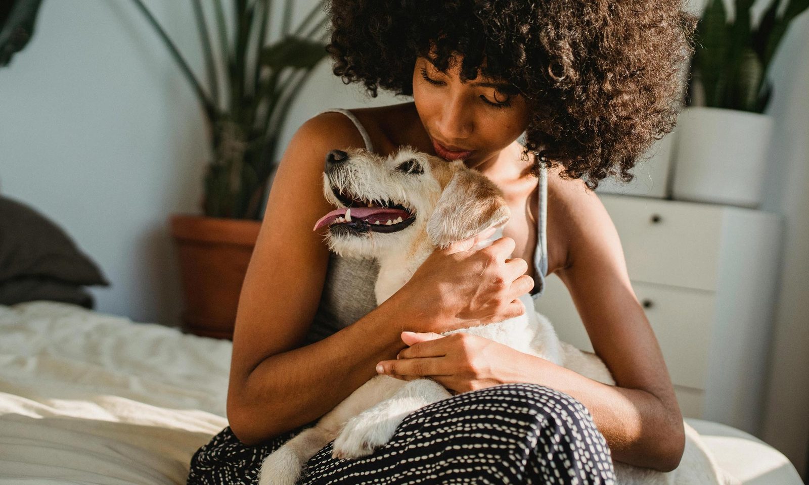How to Bond With a Rescue Dog