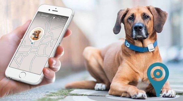pet-tracking
