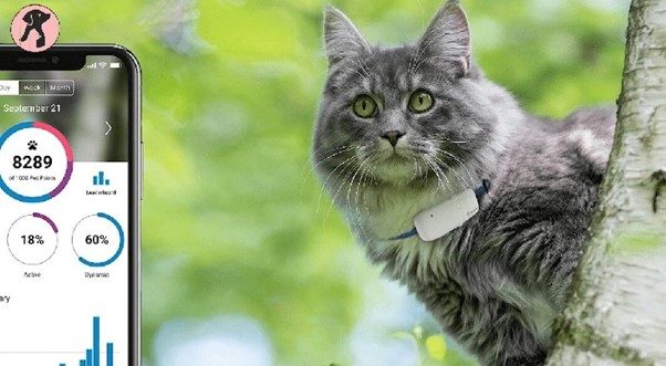 pet-tracking